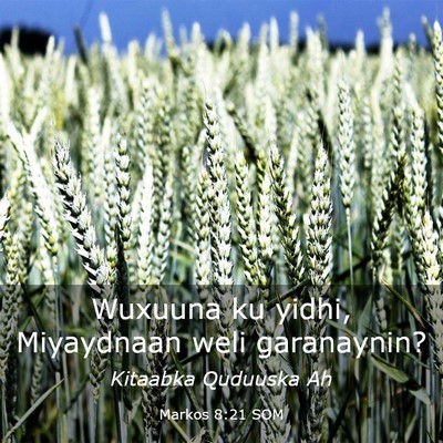 Picture 03 - Markos 8:21 SOM - Wuxuuna ku yidhi, Miyaydnaan weli - Bible Verse Picture