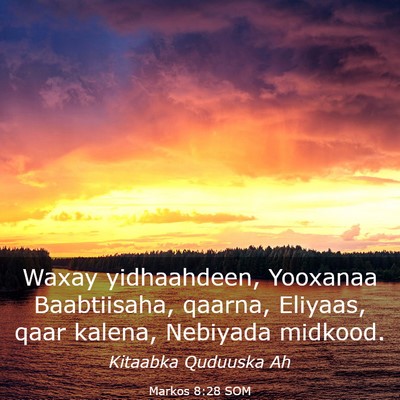 Picture 03 - Markos 8:28 SOM - Waxay yidhaahdeen, Yooxanaa Baabtiisaha, qaarna, - Bible Verse Picture