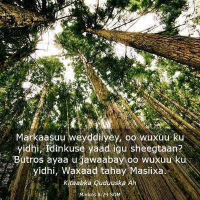Picture 03 - Markos 8:29 SOM - Markaasuu weyddiiyey, oo wuxuu ku yidhi, Idinkuse - Bible Verse Picture
