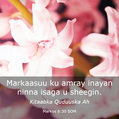 Picture 03 - Markos 8:30 SOM - Markaasuu ku amray inayan ninna isaga u - Bible Verse Picture