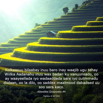 Picture 03 - Markos 8:31 SOM - Kolkaasuu bilaabay inuu baro inay waajib ugu - Bible Verse Picture