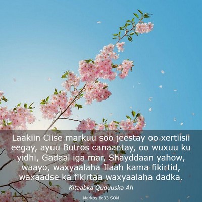 Picture 03 - Markos 8:33 SOM - Laakiin Ciise markuu soo jeestay oo xertiisii - Bible Verse Picture