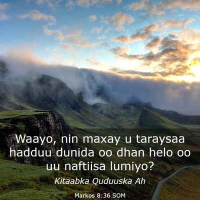 Picture 03 - Markos 8:36 SOM - Waayo, nin maxay u taraysaa hadduu dunida oo dhan - Bible Verse Picture