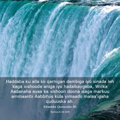 Picture 03 - Markos 8:38 SOM - Haddaba ku alla kii qarnigan dembiga iyo sinada - Bible Verse Picture