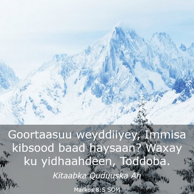 Picture 03 - Markos 8:5 SOM - Goortaasuu weyddiiyey, Immisa kibsood baad - Bible Verse Picture