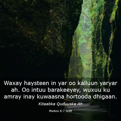 Picture 03 - Markos 8:7 SOM - Waxay haysteen in yar oo kalluun yaryar ah. Oo - Bible Verse Picture