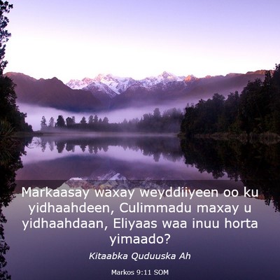 Picture 03 - Markos 9:11 SOM - Markaasay waxay weyddiiyeen oo ku yidhaahdeen, - Bible Verse Picture