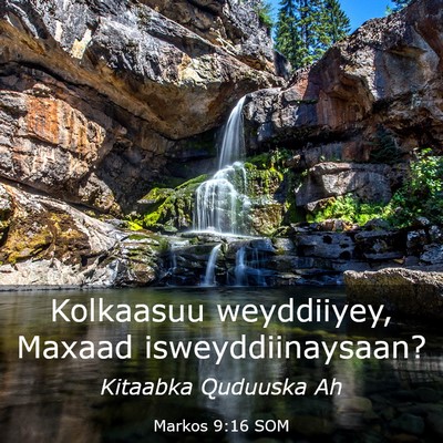 Picture 03 - Markos 9:16 SOM - Kolkaasuu weyddiiyey, Maxaad - Bible Verse Picture