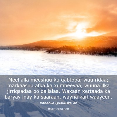 Picture 03 - Markos 9:18 SOM - Meel alla meeshuu ku qabtoba, wuu ridaa; - Bible Verse Picture