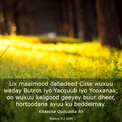 Picture 03 - Markos 9:2 SOM - Lix maalmood dabadeed Ciise wuxuu waday Butros - Bible Verse Picture