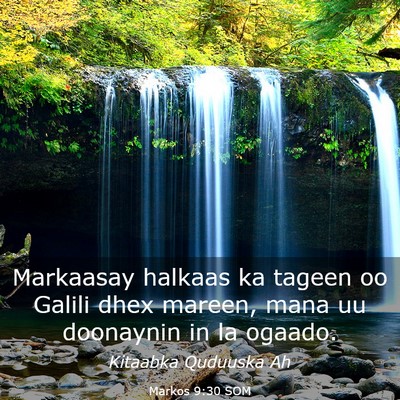 Picture 03 - Markos 9:30 SOM - Markaasay halkaas ka tageen oo Galili dhex - Bible Verse Picture