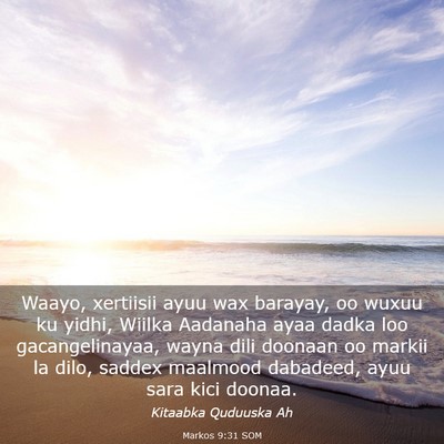 Picture 03 - Markos 9:31 SOM - Waayo, xertiisii ayuu wax barayay, oo wuxuu ku - Bible Verse Picture