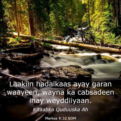 Picture 03 - Markos 9:32 SOM - Laakiin hadalkaas ayay garan waayeen, wayna ka - Bible Verse Picture