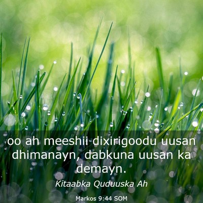 Picture 03 - Markos 9:44 SOM - oo ah meeshii dixirigoodu uusan dhimanayn, - Bible Verse Picture