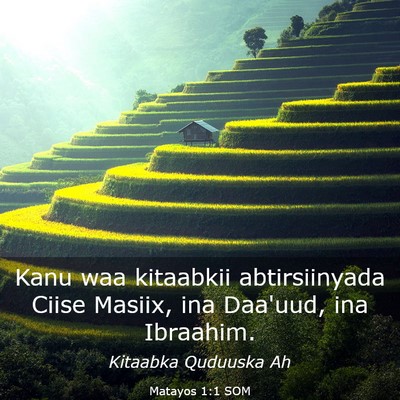 Picture 03 - Matayos 1:1 SOM - Kanu waa kitaabkii abtirsiinyada Ciise Masiix, - Bible Verse Picture
