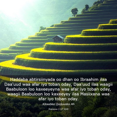 Picture 03 - Matayos 1:17 SOM - Haddaba abtirsiinyada oo dhan oo Ibraahim ilaa - Bible Verse Picture