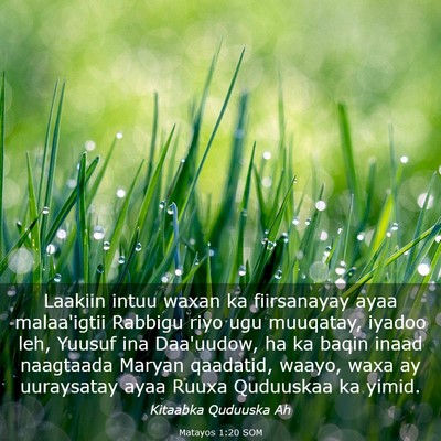 Picture 03 - Matayos 1:20 SOM - Laakiin intuu waxan ka fiirsanayay ayaa - Bible Verse Picture
