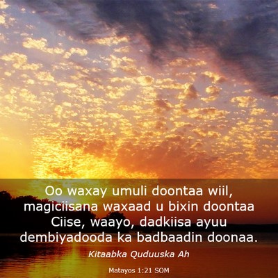 Picture 03 - Matayos 1:21 SOM - Oo waxay umuli doontaa wiil, magiciisana waxaad u - Bible Verse Picture