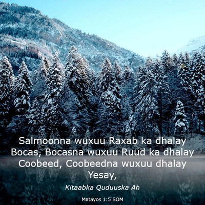 Picture 03 - Matayos 1:5 SOM - Salmoonna wuxuu Raxab ka dhalay Bocas, Bocasna - Bible Verse Picture