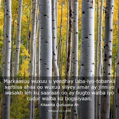 Picture 03 - Matayos 10:1 SOM - Markaasuu wuxuu u yeedhay laba-iyo-tobankii - Bible Verse Picture