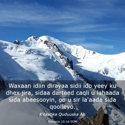Picture 03 - Matayos 10:16 SOM - Waxaan idiin dirayaa sidii ido yeey ku dhex jira, - Bible Verse Picture