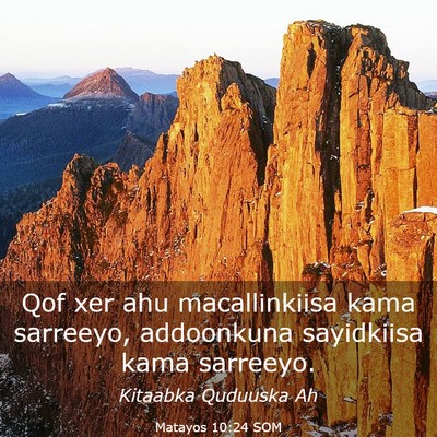 Picture 03 - Matayos 10:24 SOM - Qof xer ahu macallinkiisa kama sarreeyo, - Bible Verse Picture