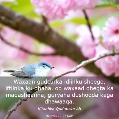 Picture 03 - Matayos 10:27 SOM - Waxaan gudcurka idiinku sheego, iftiinka ku - Bible Verse Picture