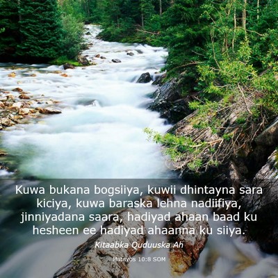 Picture 03 - Matayos 10:8 SOM - Kuwa bukana bogsiiya, kuwii dhintayna sara - Bible Verse Picture