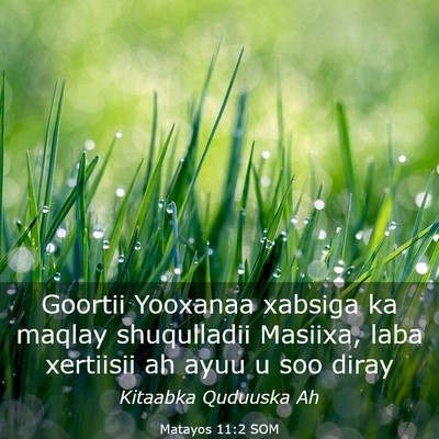 Picture 03 - Matayos 11:2 SOM - Goortii Yooxanaa xabsiga ka maqlay shuqulladii - Bible Verse Picture