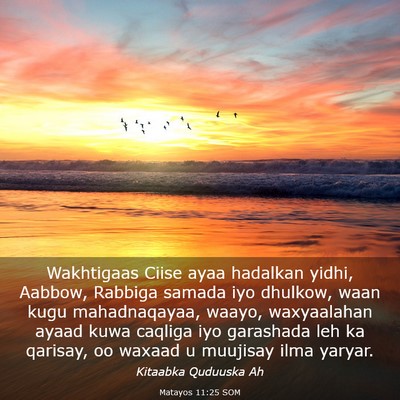 Picture 03 - Matayos 11:25 SOM - Wakhtigaas Ciise ayaa hadalkan yidhi, Aabbow, - Bible Verse Picture