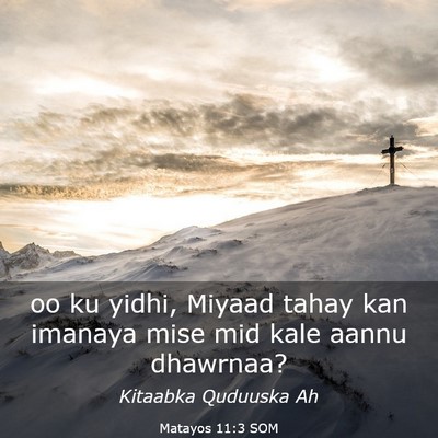 Picture 03 - Matayos 11:3 SOM - oo ku yidhi, Miyaad tahay kan imanaya mise mid - Bible Verse Picture