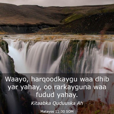 Picture 03 - Matayos 11:30 SOM - Waayo, harqoodkaygu waa dhib yar yahay, oo - Bible Verse Picture