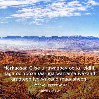 Picture 03 - Matayos 11:4 SOM - Markaasaa Ciise u jawaabay oo ku yidhi, Taga oo - Bible Verse Picture