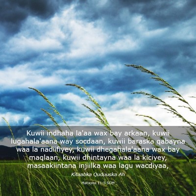 Picture 03 - Matayos 11:5 SOM - Kuwii indhaha la'aa wax bay arkaan, kuwii - Bible Verse Picture