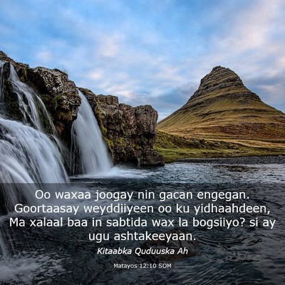 Picture 03 - Matayos 12:10 SOM - Oo waxaa joogay nin gacan engegan. Goortaasay - Bible Verse Picture