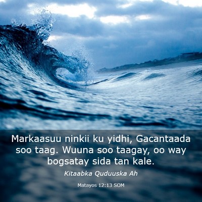 Picture 03 - Matayos 12:13 SOM - Markaasuu ninkii ku yidhi, Gacantaada soo taag. - Bible Verse Picture