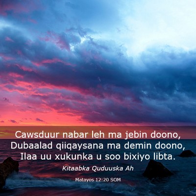 Picture 03 - Matayos 12:20 SOM - Cawsduur nabar leh ma jebin doono, Dubaalad - Bible Verse Picture