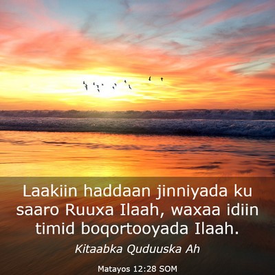 Picture 03 - Matayos 12:28 SOM - Laakiin haddaan jinniyada ku saaro Ruuxa Ilaah, - Bible Verse Picture