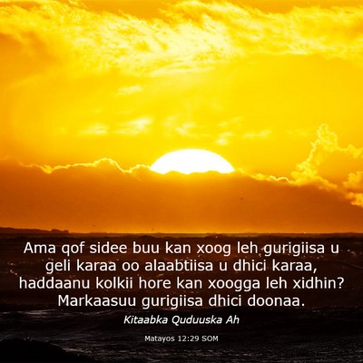 Picture 03 - Matayos 12:29 SOM - Ama qof sidee buu kan xoog leh gurigiisa u geli - Bible Verse Picture