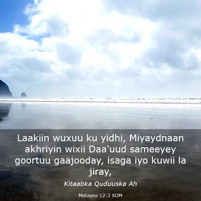 Picture 03 - Matayos 12:3 SOM - Laakiin wuxuu ku yidhi, Miyaydnaan akhriyin wixii - Bible Verse Picture