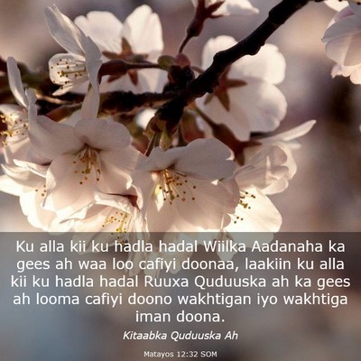 Picture 03 - Matayos 12:32 SOM - Ku alla kii ku hadla hadal Wiilka Aadanaha ka - Bible Verse Picture
