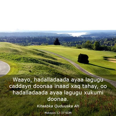 Picture 03 - Matayos 12:37 SOM - Waayo, hadalladaada ayaa lagugu caddayn doonaa - Bible Verse Picture
