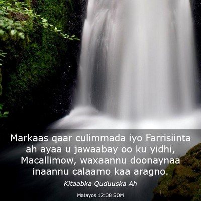 Picture 03 - Matayos 12:38 SOM - Markaas qaar culimmada iyo Farrisiinta ah ayaa u - Bible Verse Picture