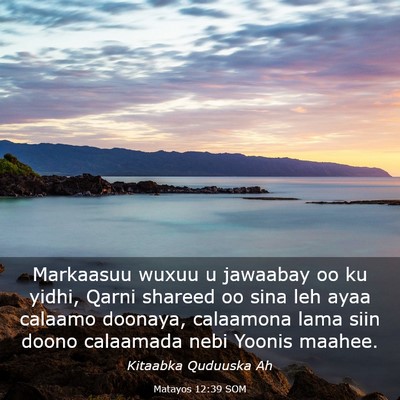 Picture 03 - Matayos 12:39 SOM - Markaasuu wuxuu u jawaabay oo ku yidhi, Qarni - Bible Verse Picture