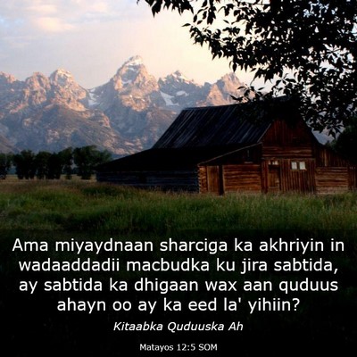 Picture 03 - Matayos 12:5 SOM - Ama miyaydnaan sharciga ka akhriyin in - Bible Verse Picture