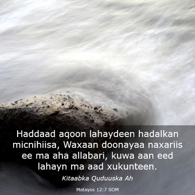 Picture 03 - Matayos 12:7 SOM - Haddaad aqoon lahaydeen hadalkan micnihiisa, - Bible Verse Picture