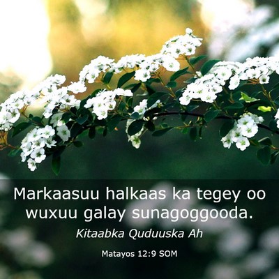 Picture 03 - Matayos 12:9 SOM - Markaasuu halkaas ka tegey oo wuxuu galay - Bible Verse Picture