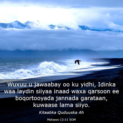 Picture 03 - Matayos 13:11 SOM - Wuxuu u jawaabay oo ku yidhi, Idinka waa laydin - Bible Verse Picture