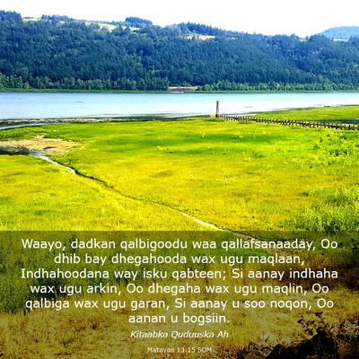 Picture 03 - Matayos 13:15 SOM - Waayo, dadkan qalbigoodu waa qallafsanaaday, Oo - Bible Verse Picture