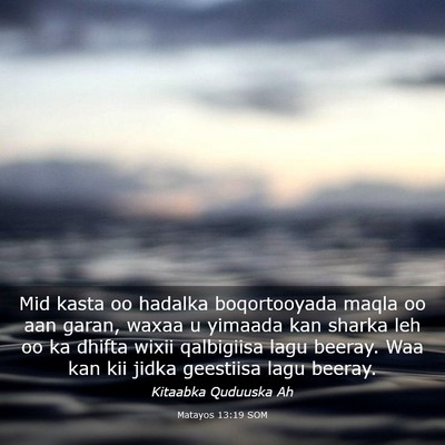 Picture 03 - Matayos 13:19 SOM - Mid kasta oo hadalka boqortooyada maqla oo aan - Bible Verse Picture